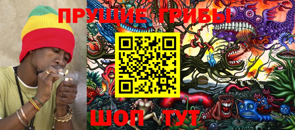 Псилоцибиновые грибы Psilocybine cubensis  Галлюциногенные грибы Psilocybine cubensis  Вход с VPN  купить закладку  Ковров 