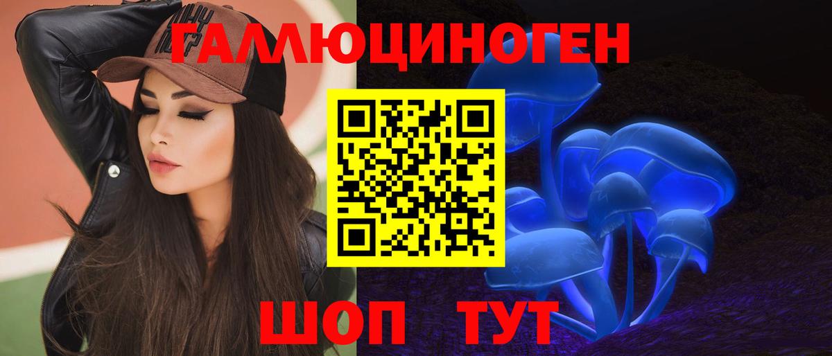Псилоцибиновые грибы Psilocybe Ковров
